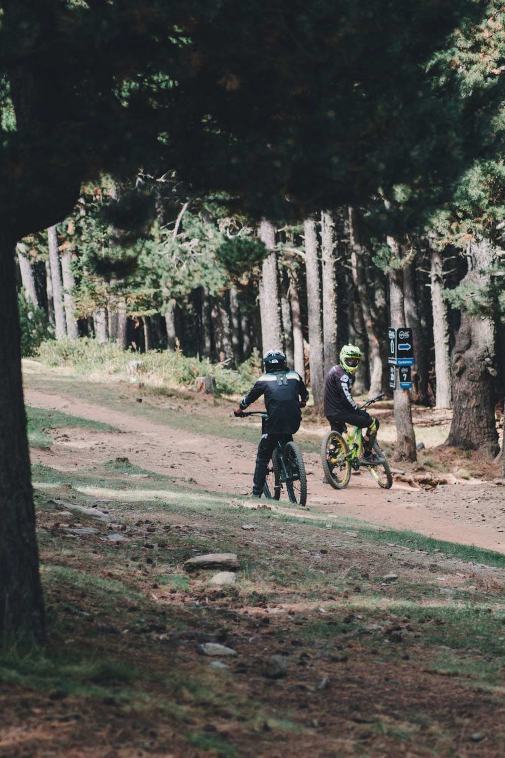 a couple of people riding bikes on a trail in the woods