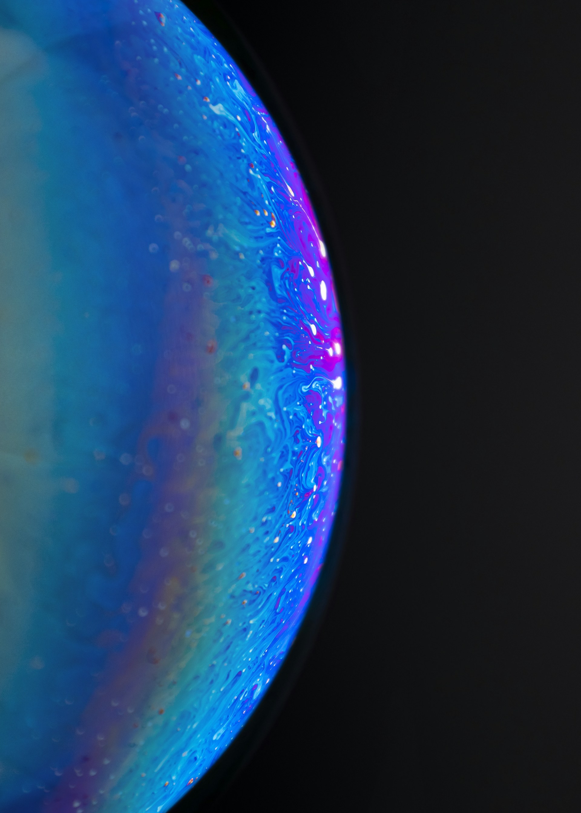 a blue and purple jellyfish