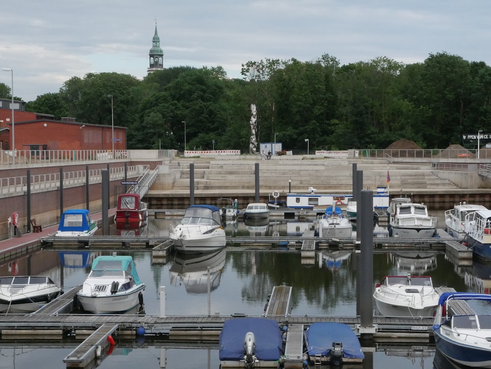 boats parked in a harbor