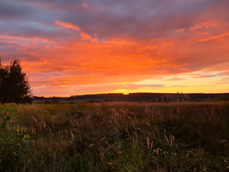 A vibrant sunset over a peaceful countryside in my country, with golden fields stretching to the horizon.