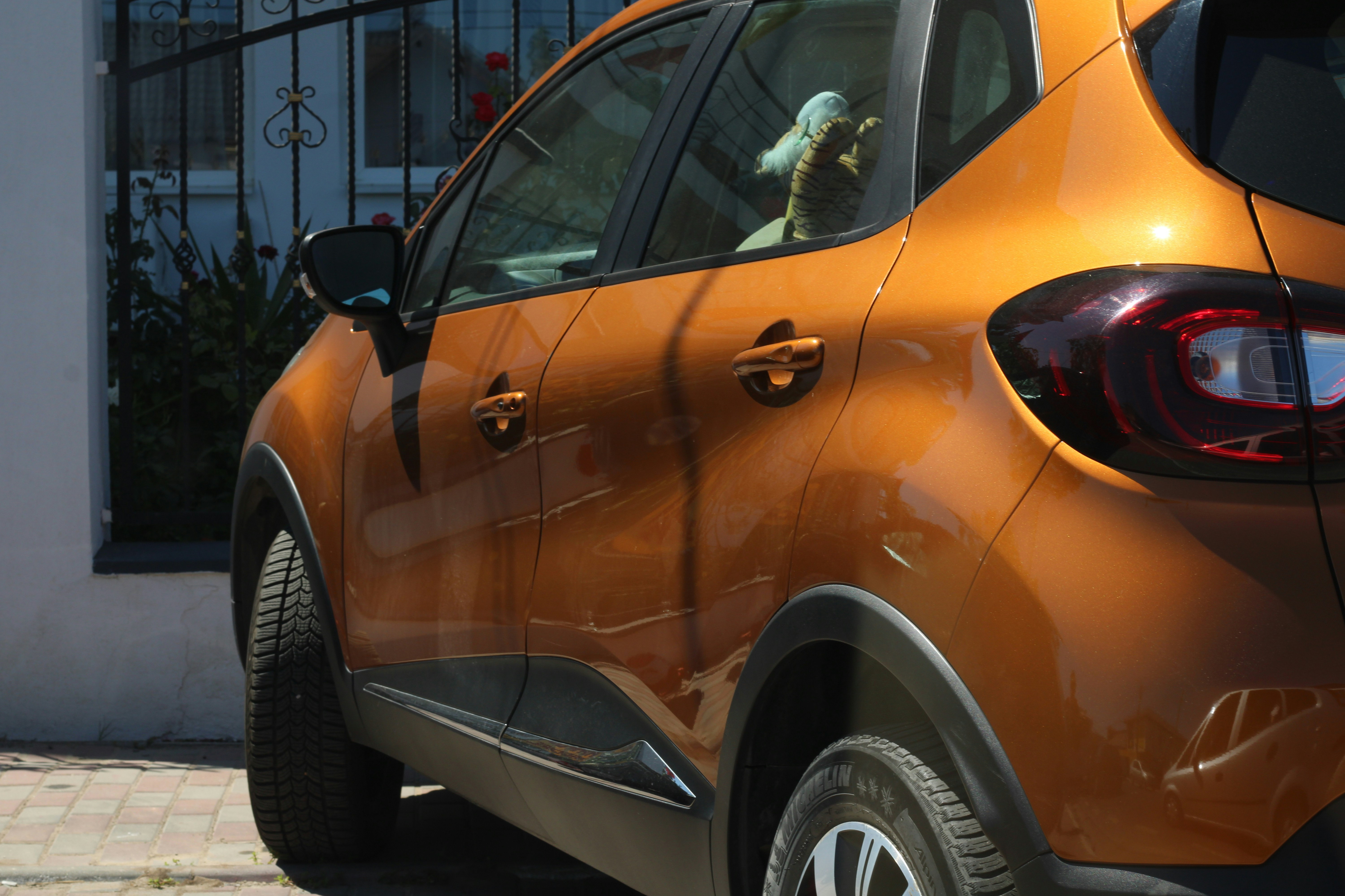 Photo by thorai9akira