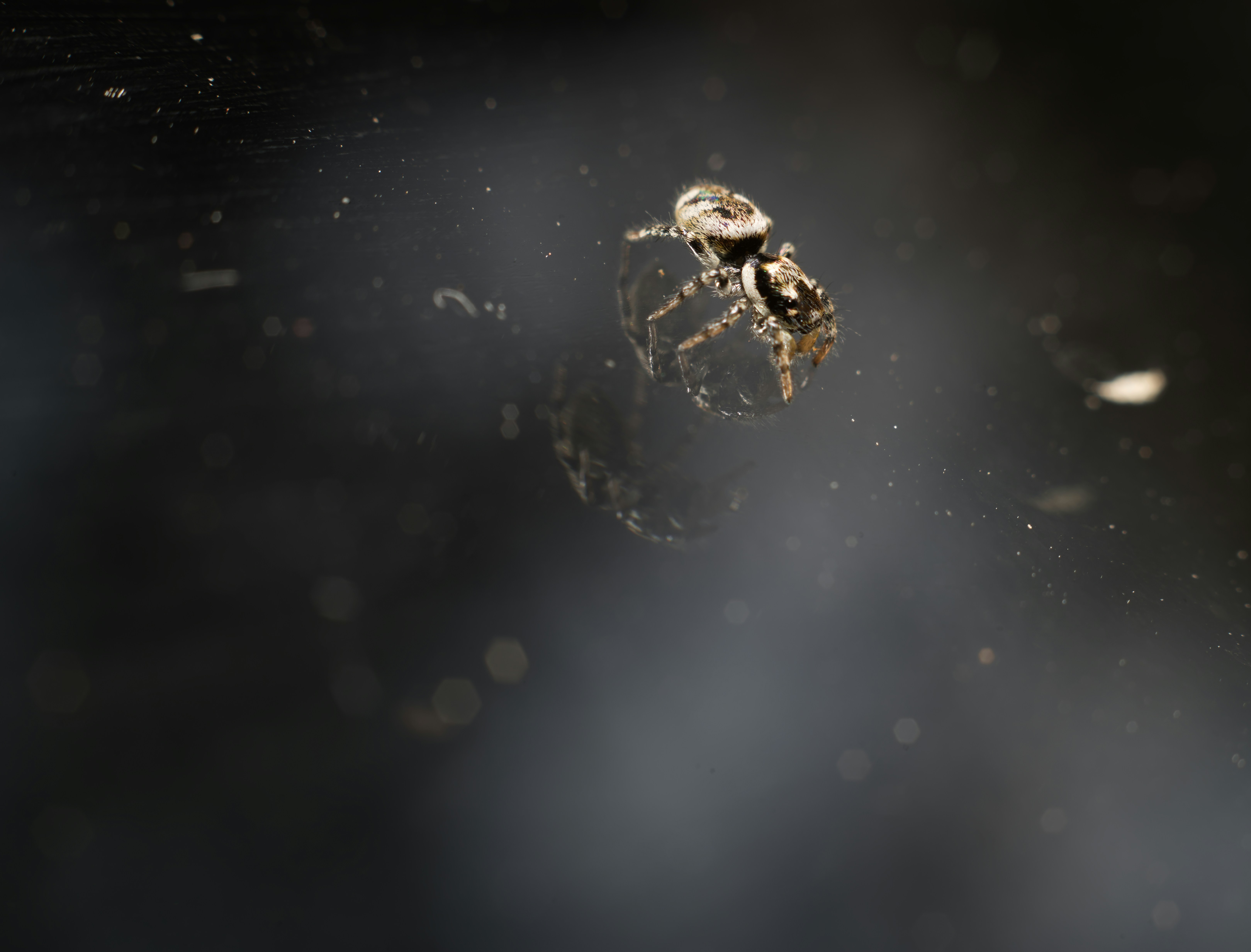 Photo by harmonica0673