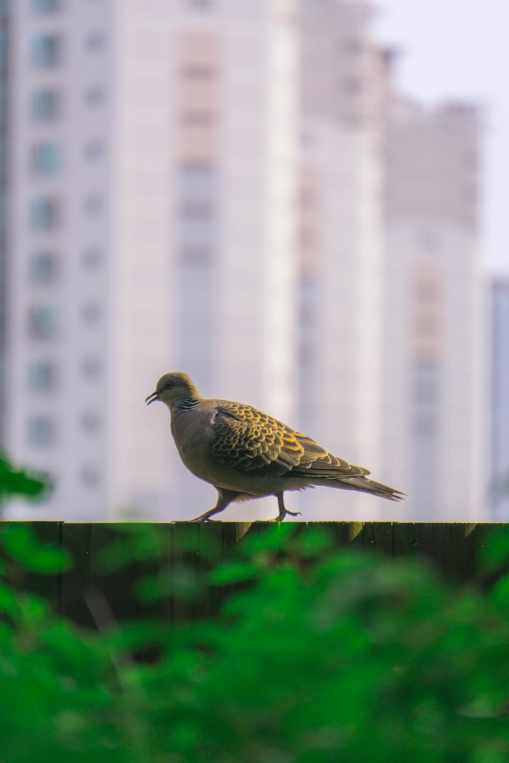 a bird standing on a branch