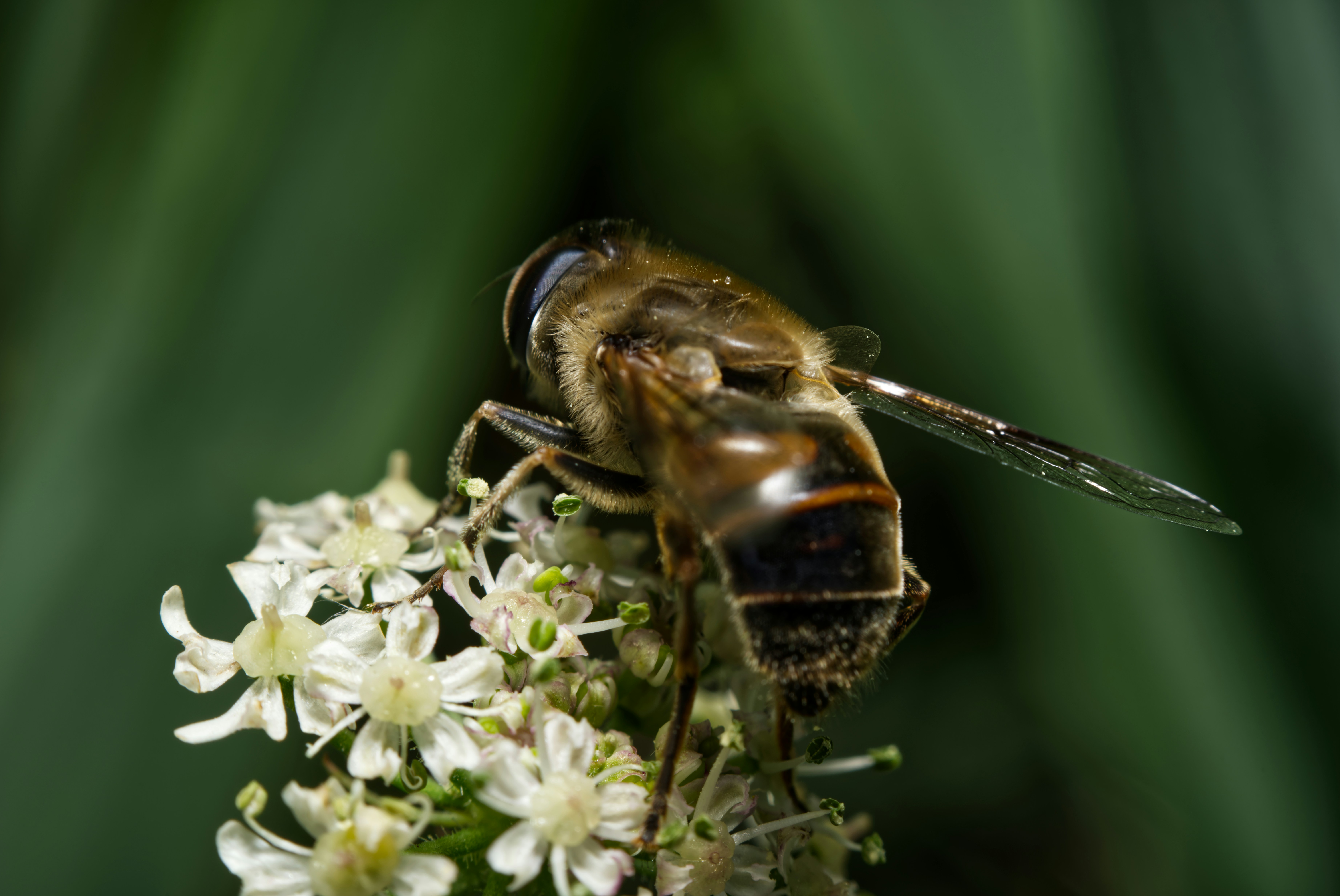 Photo by harmonica0673