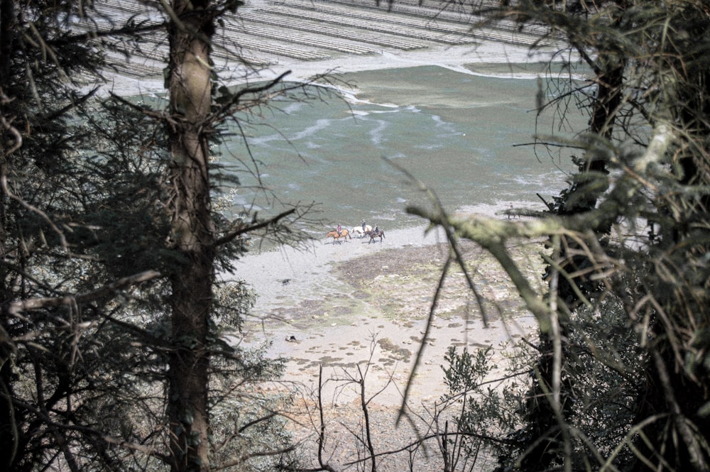 a group of people on a beach