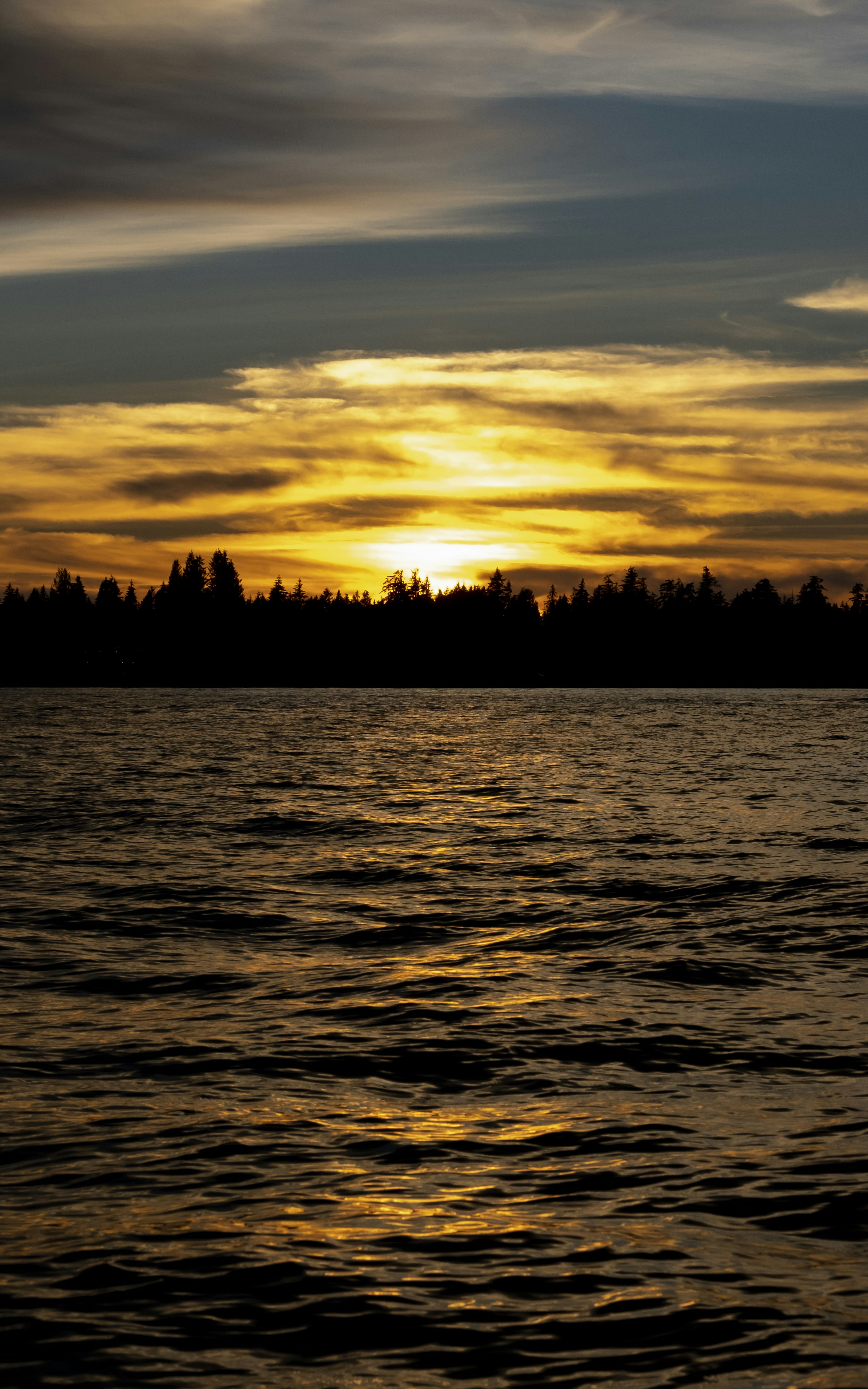 Photo by alexaguerria19