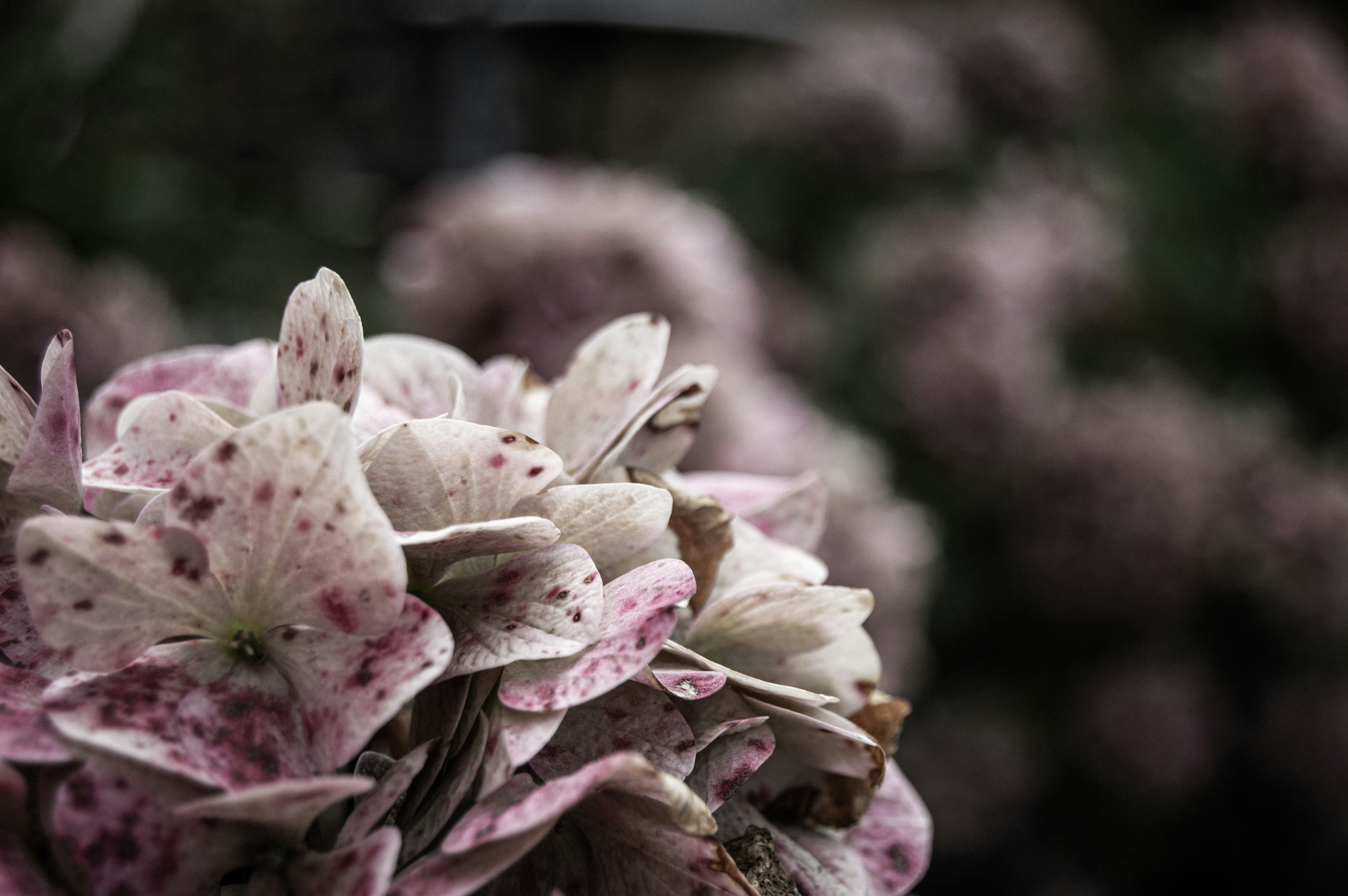 Photo by mayzcreates