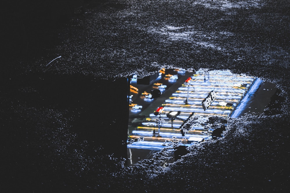 a group of birds on a beach