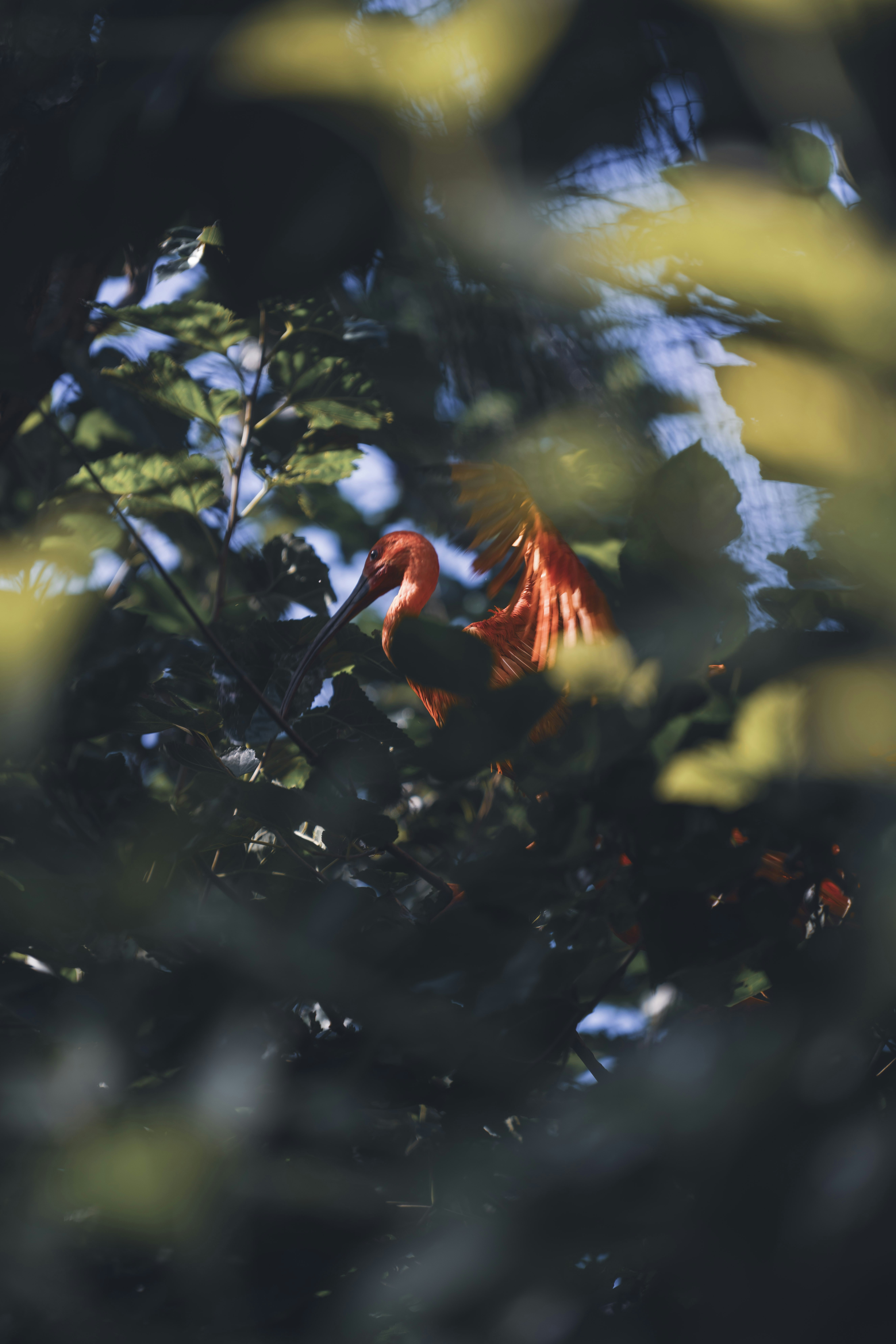Photo by opohmelka