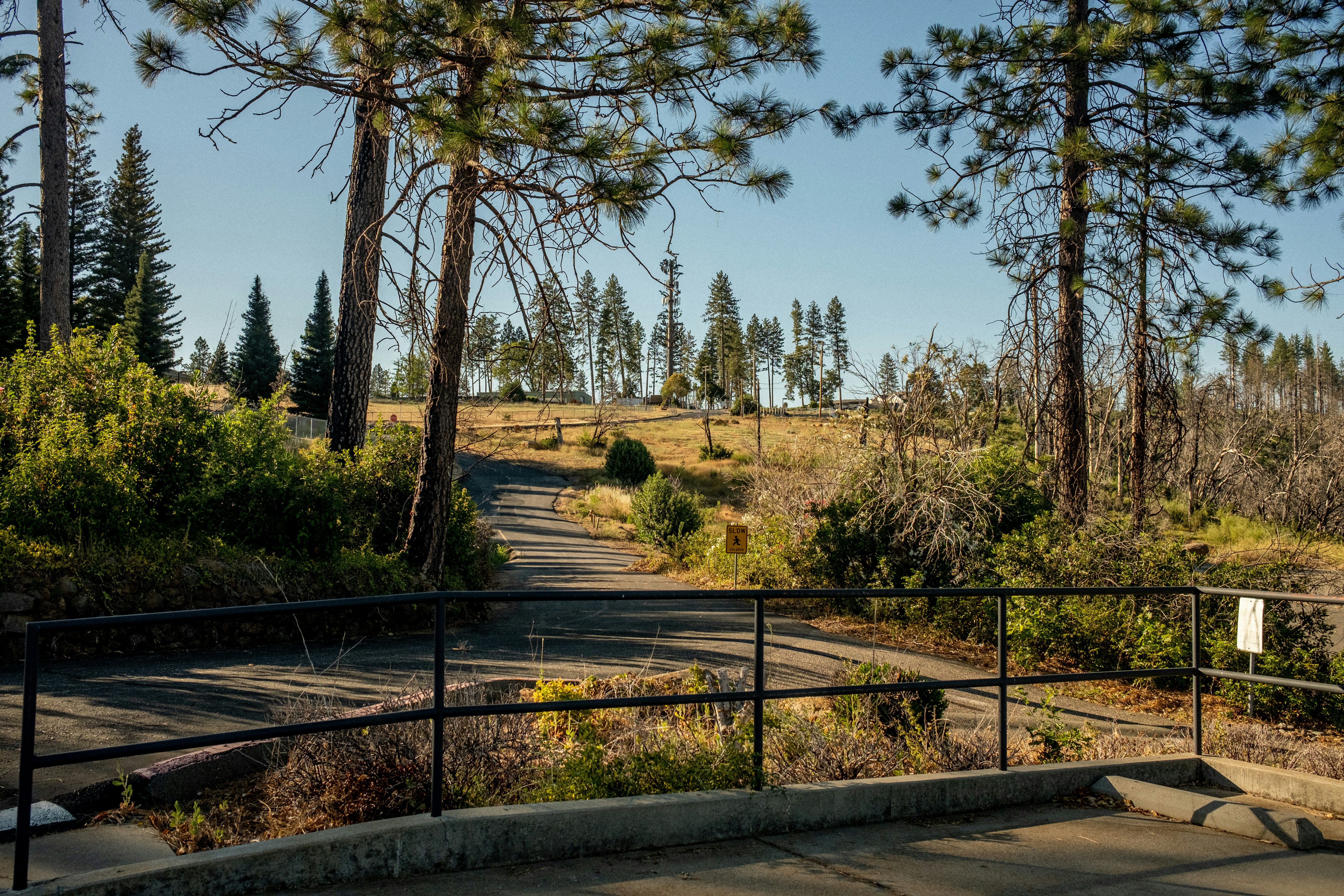 Ridgeway Roadside Park