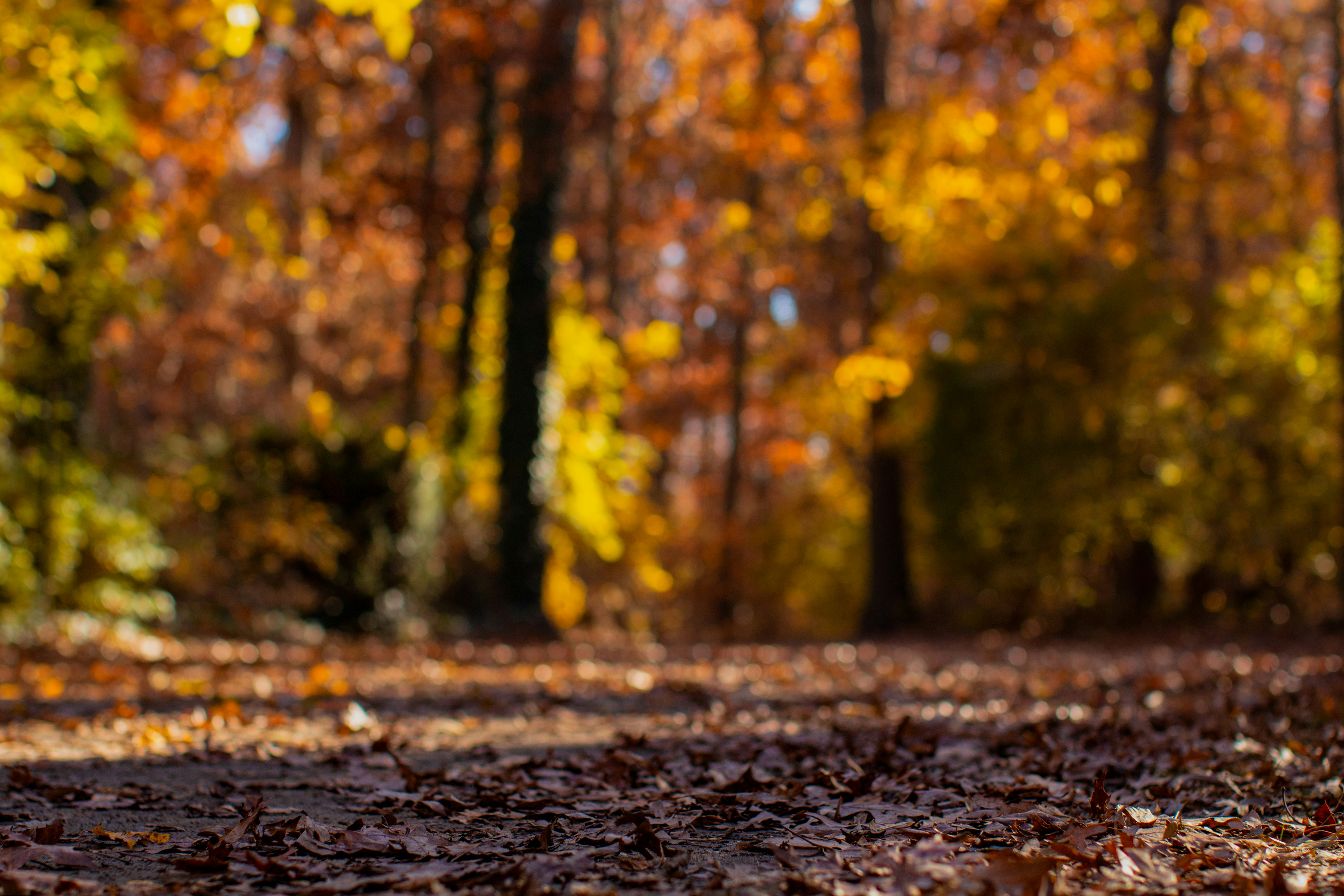 Photo by emmanuelphaeton