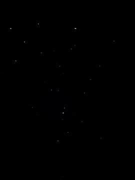 Starry night sky animation with twinkling lights.