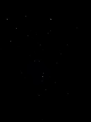 A starry night sky filled with twinkling stars.