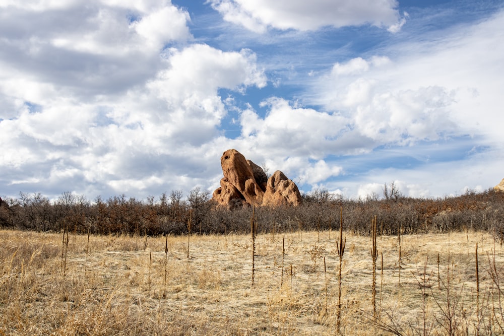 a large rock formation in a field