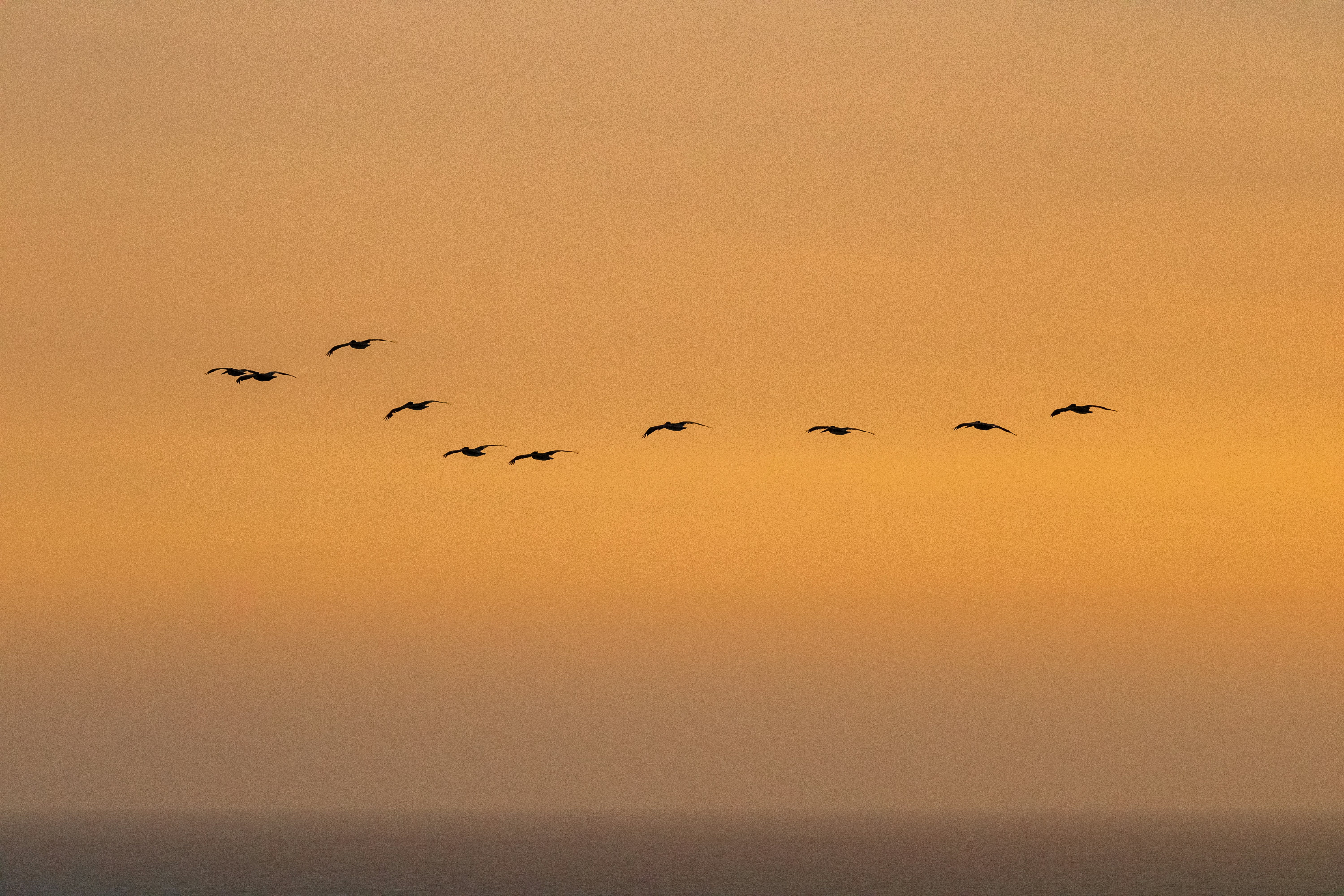 Photo by hitthetrailjack