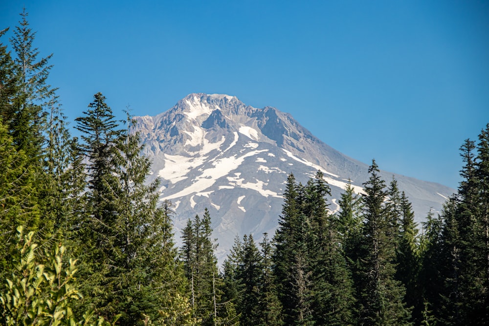 a snowy mountain with trees