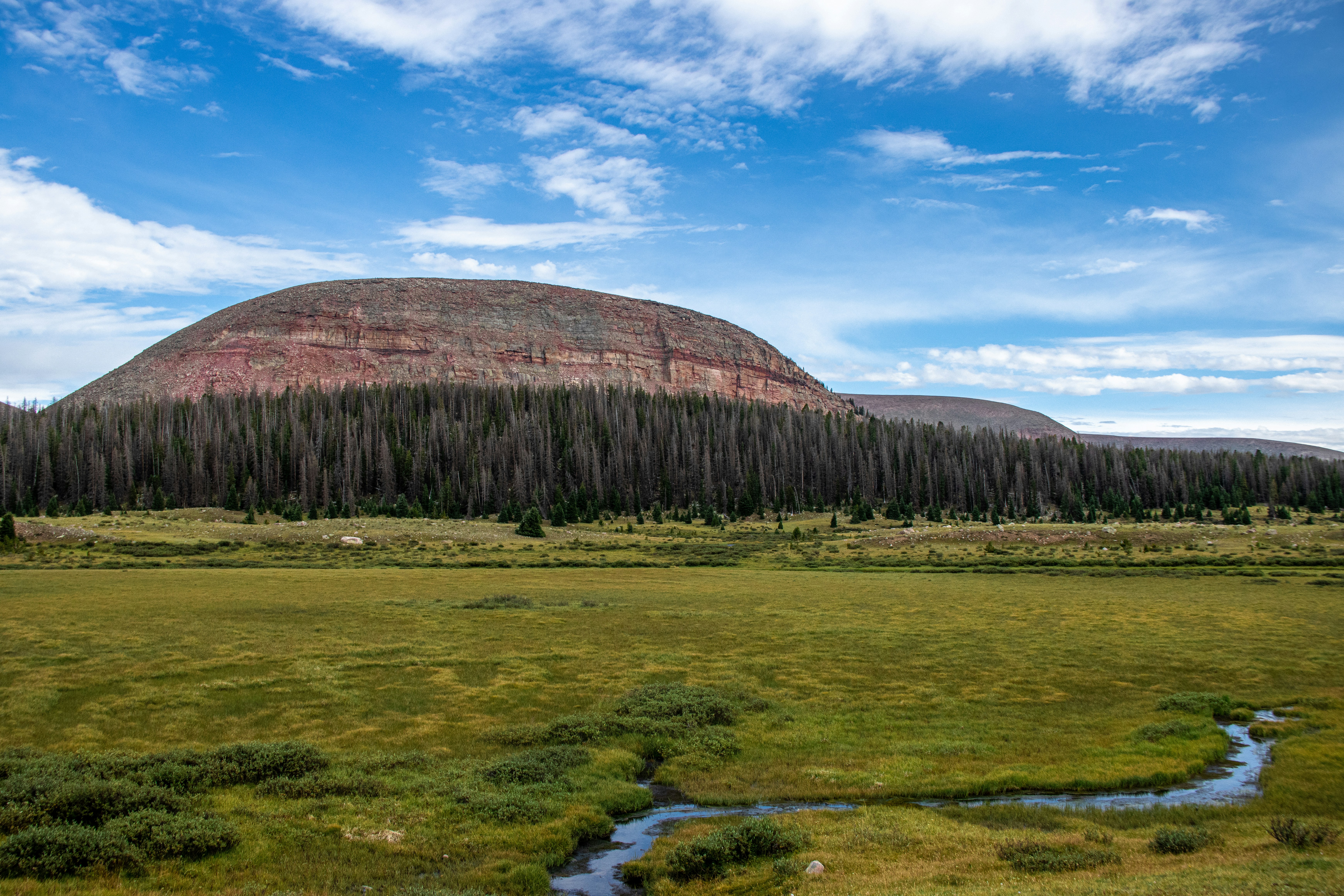 Choose from a curated selection of landscape photos. Always free on Unsplash.