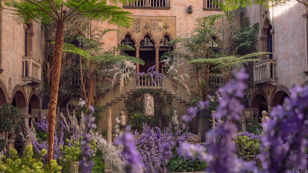 a garden with purple flowers