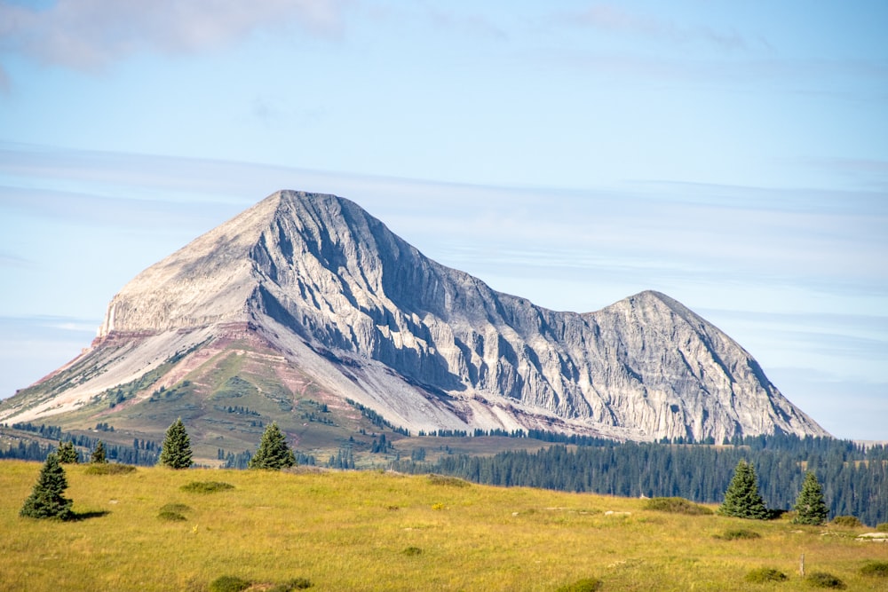 una montaña con árboles frente a ella