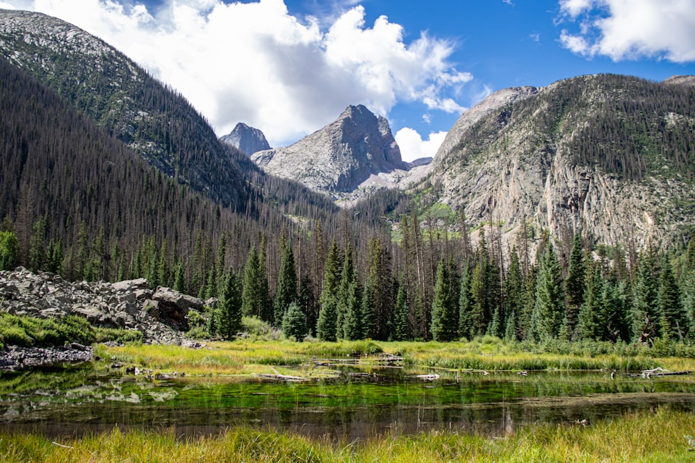 a lake with trees and mountains in the background