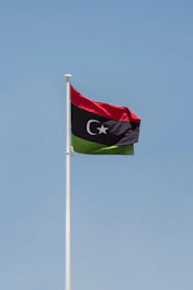 a flag on a pole