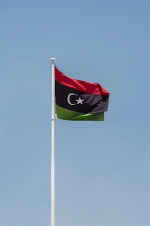 a flag on a pole