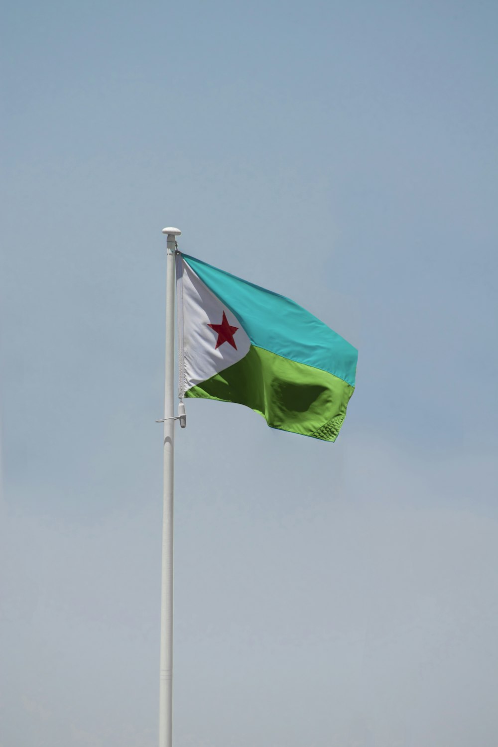 a flag on a pole