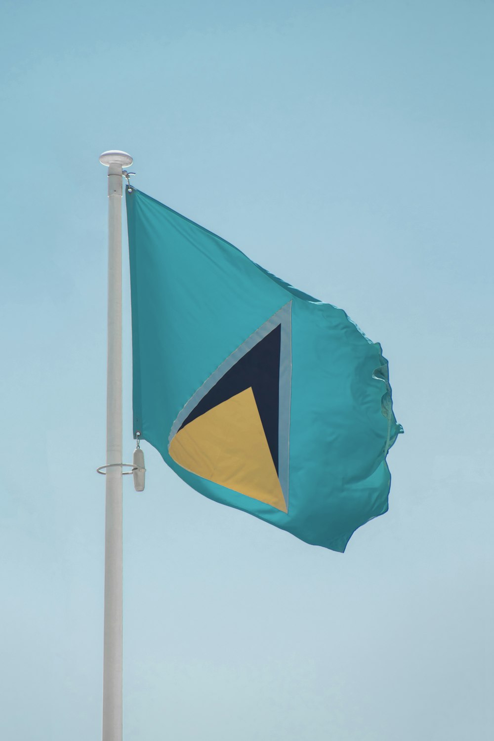 a blue and yellow flag on a flagpole