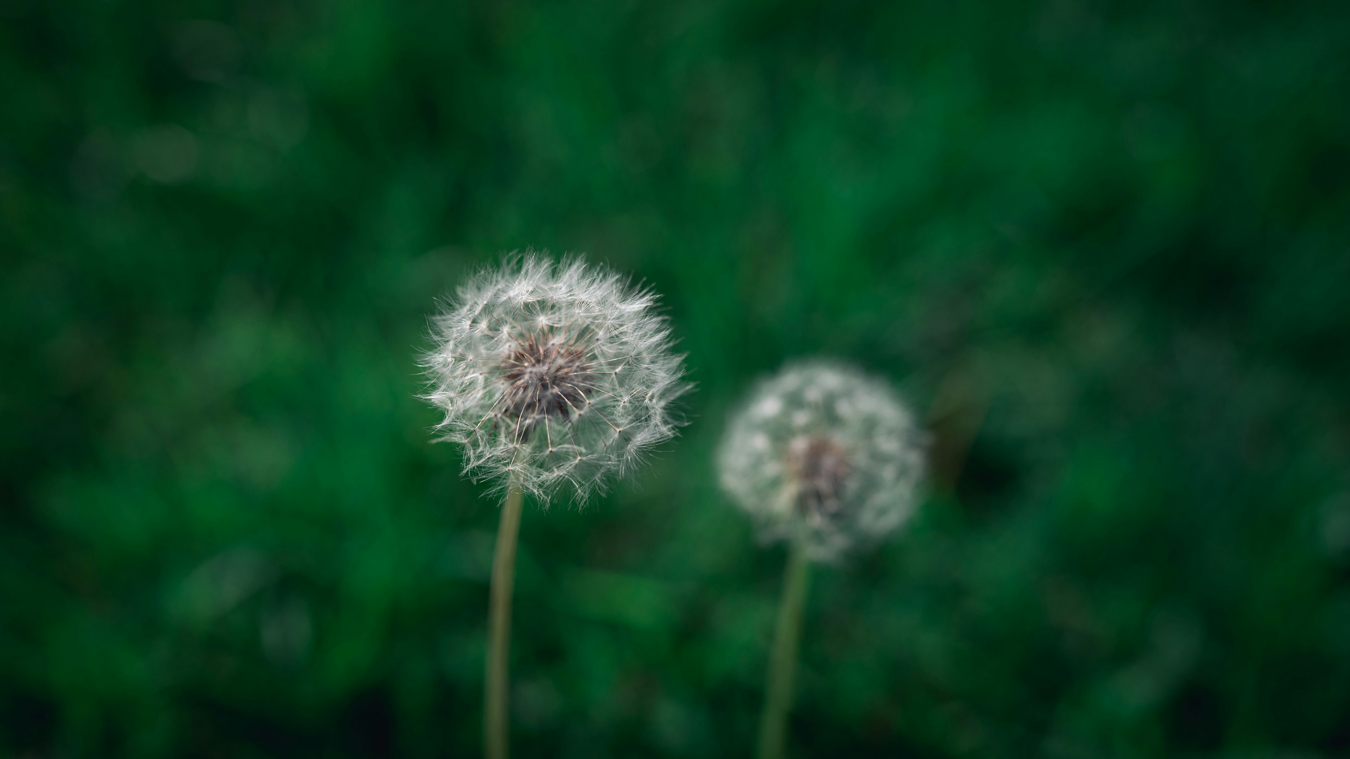 Photo by peek_a_boo_who