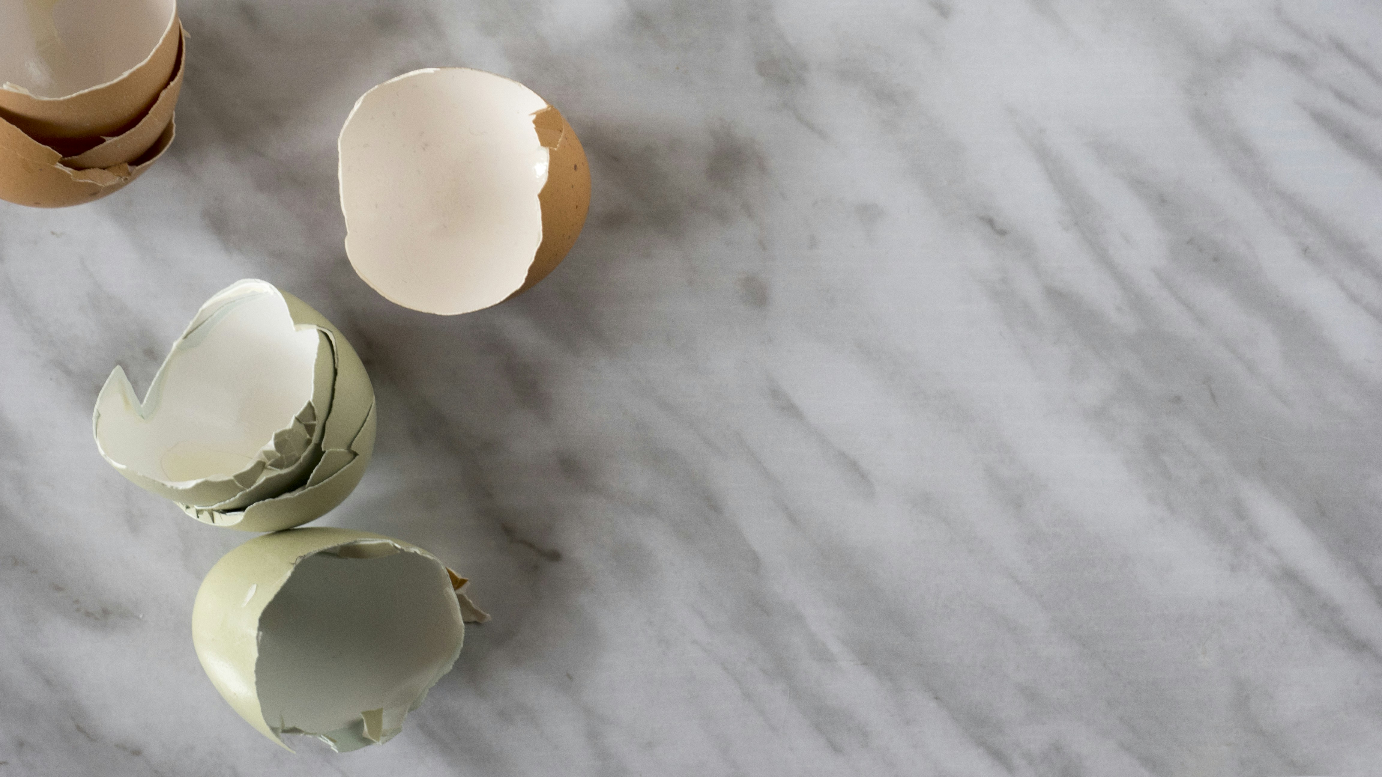 Photo by olgunsplash2022