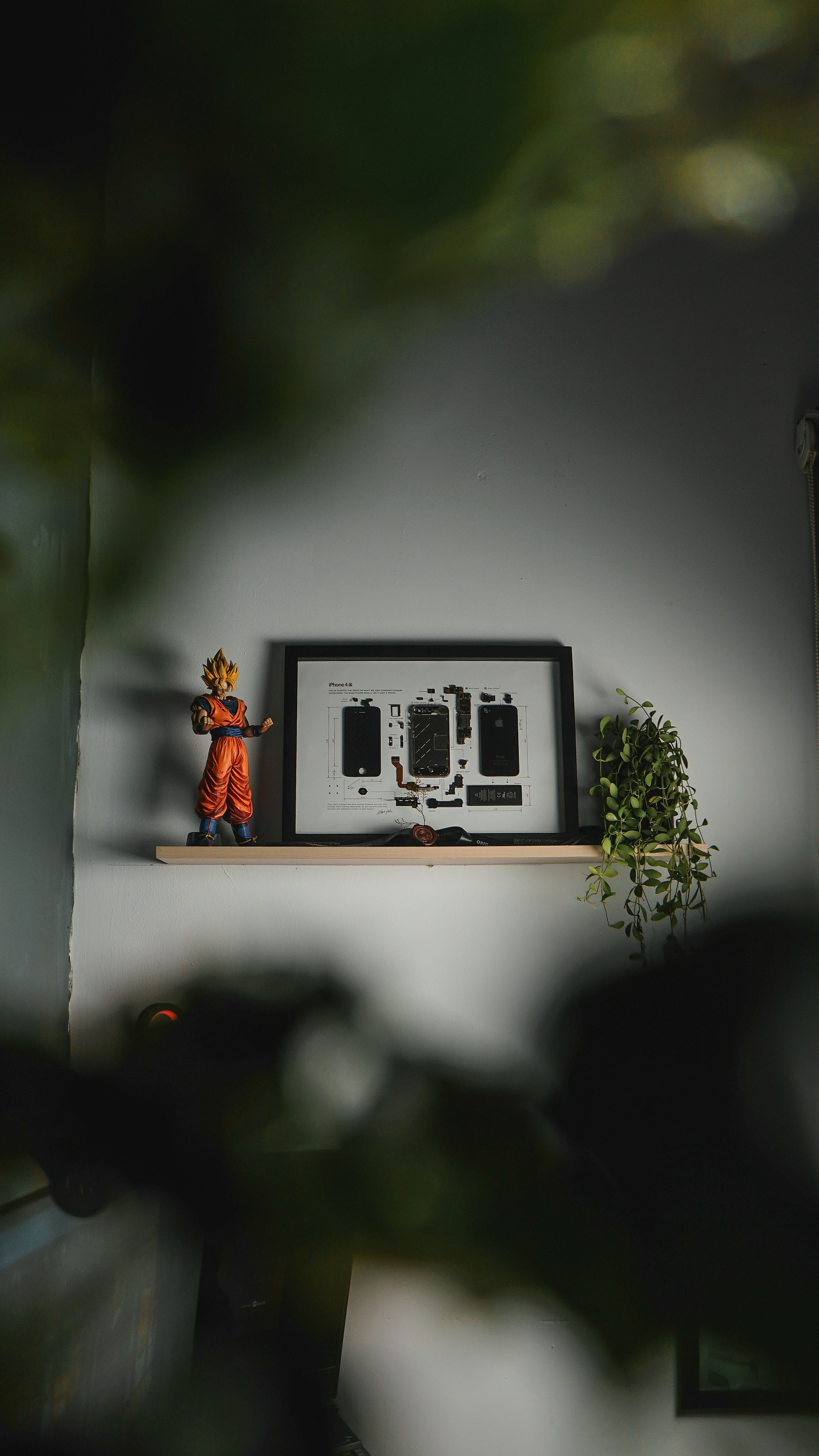 Photo by locnguyen1703