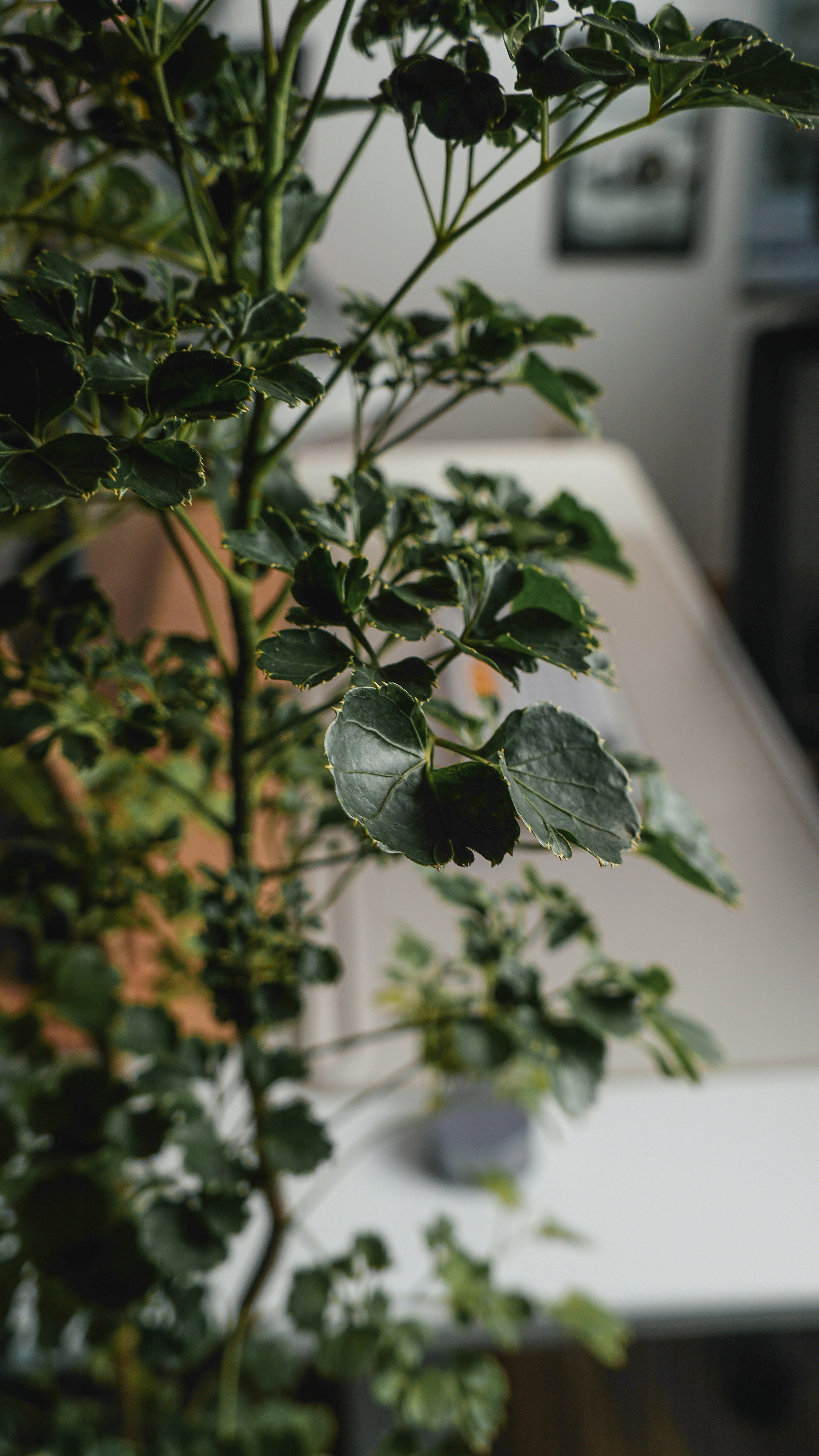 Photo by locnguyen1703