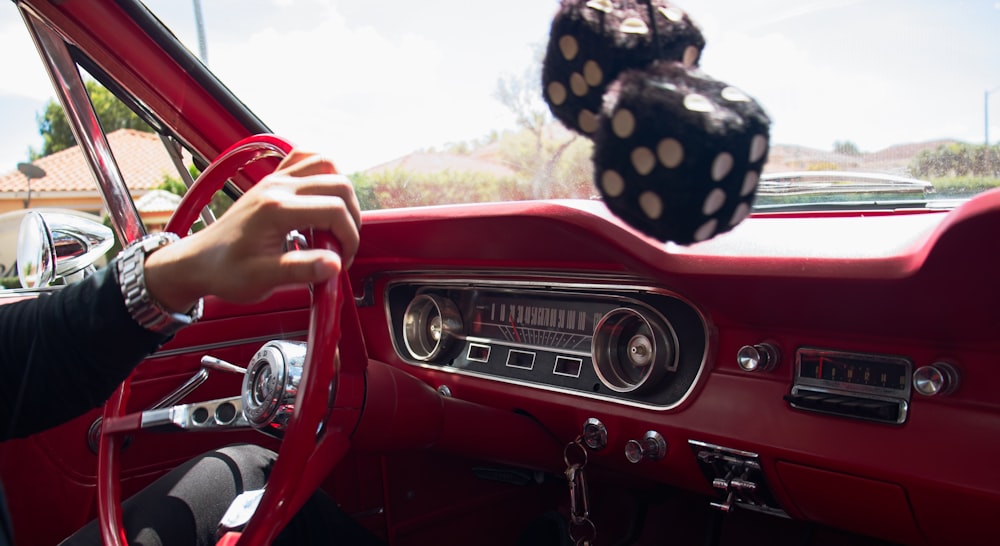 a person holding a butterfly in a car