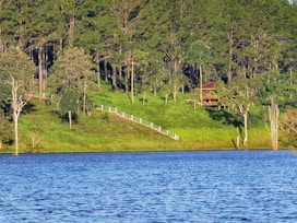 A serene lakeside view with a lush green forest in the background. A wooden cabin with a red roof is nestled among the trees. A path with white railings descends from the forest to the lake. The water reflects the rich blue of the sky.