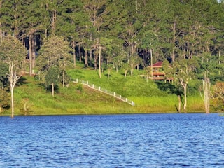 A serene lakeside view with a lush green forest in the background. A wooden cabin with a red roof is nestled among the trees. A path with white railings descends from the forest to the lake. The water reflects the rich blue of the sky.