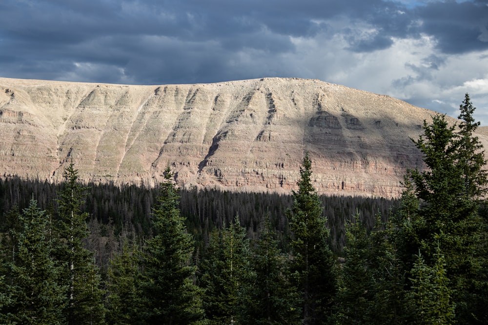 a mountain with trees in front of it