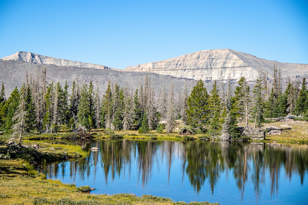 a lake with trees and mountains in the background