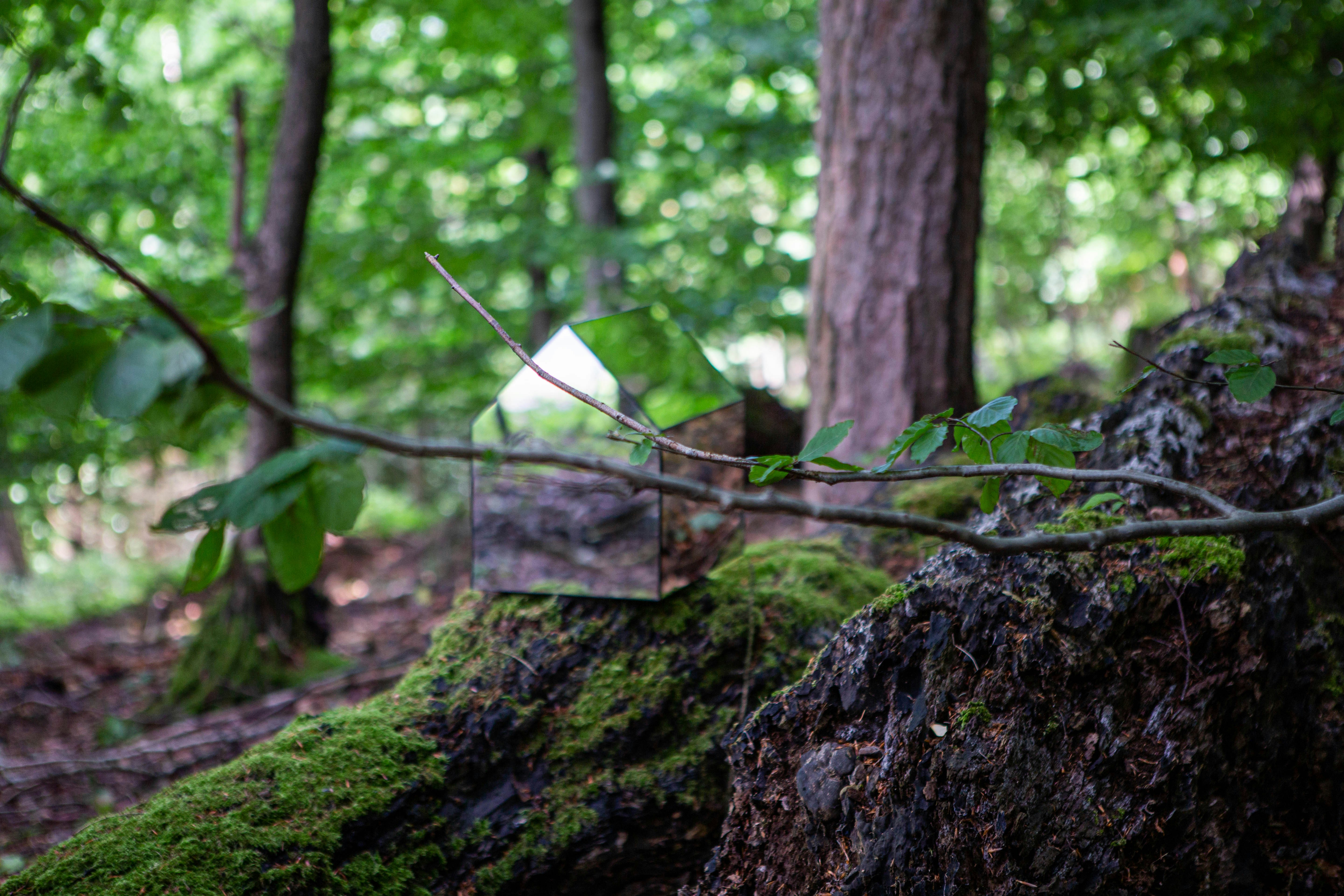 Photo by wilhelmgunkel