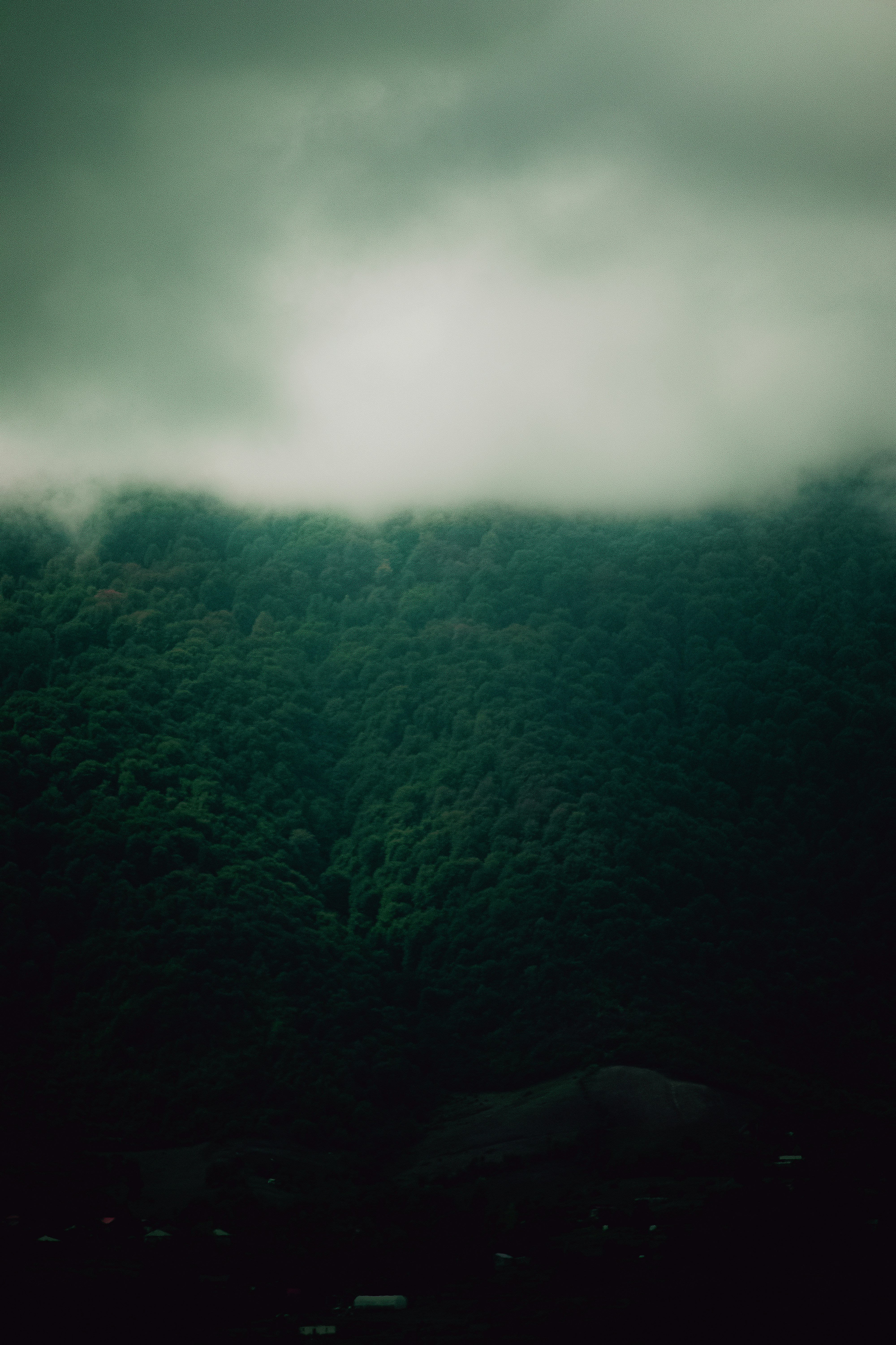 Photo by sinabahar76