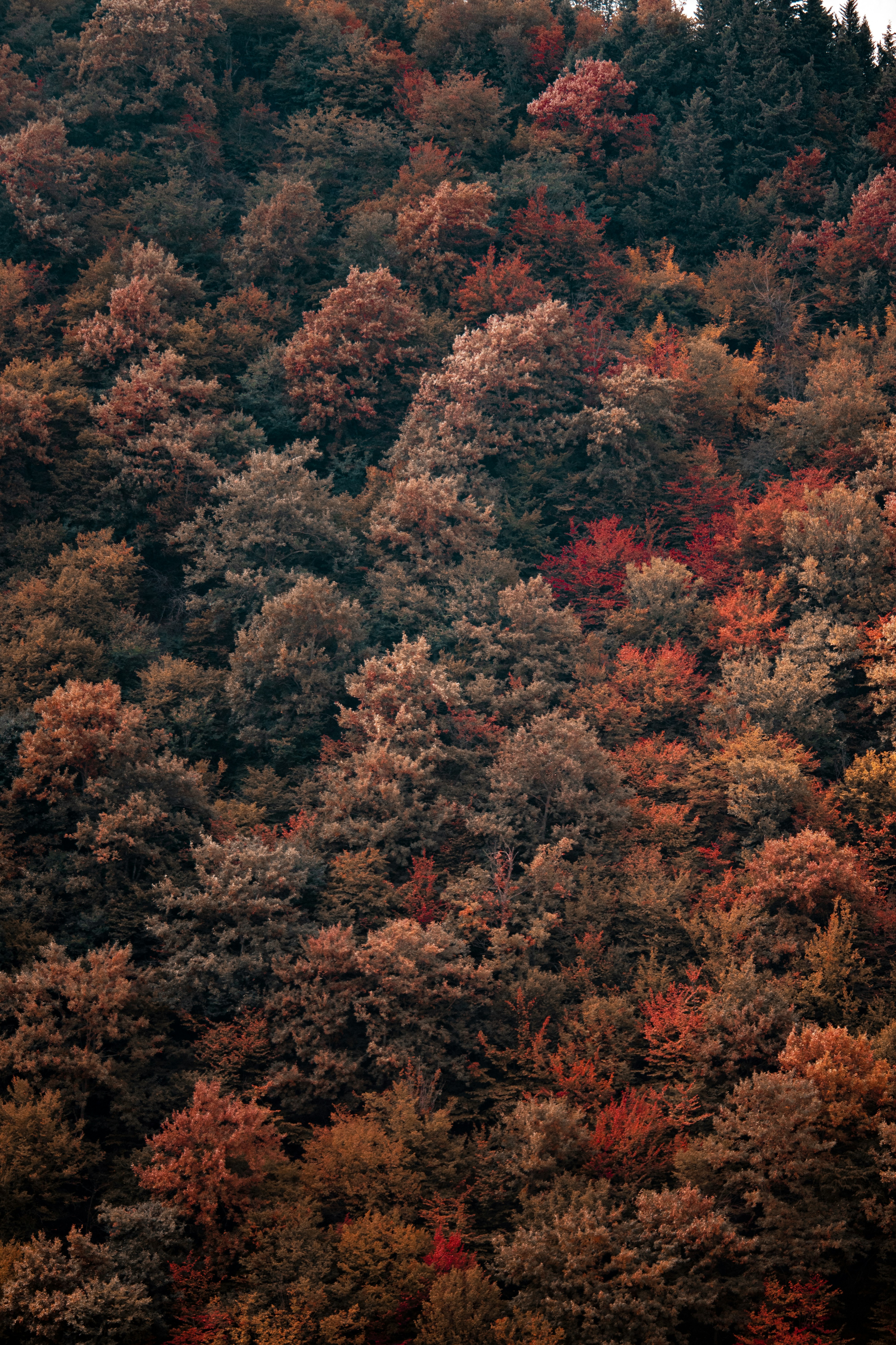 Photo by sinabahar76