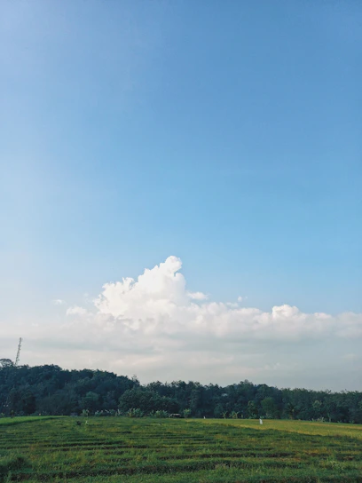 A peaceful view of Froehlich Farm’s wooded trails and open fields under a clear blue sky.