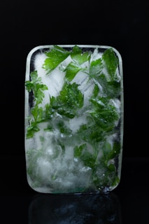 A rectangular ice block encases fresh green leaves, likely parsley, with intricate details of the leaves visible through the translucent ice. The black background enhances the vibrant green color, creating a striking contrast.