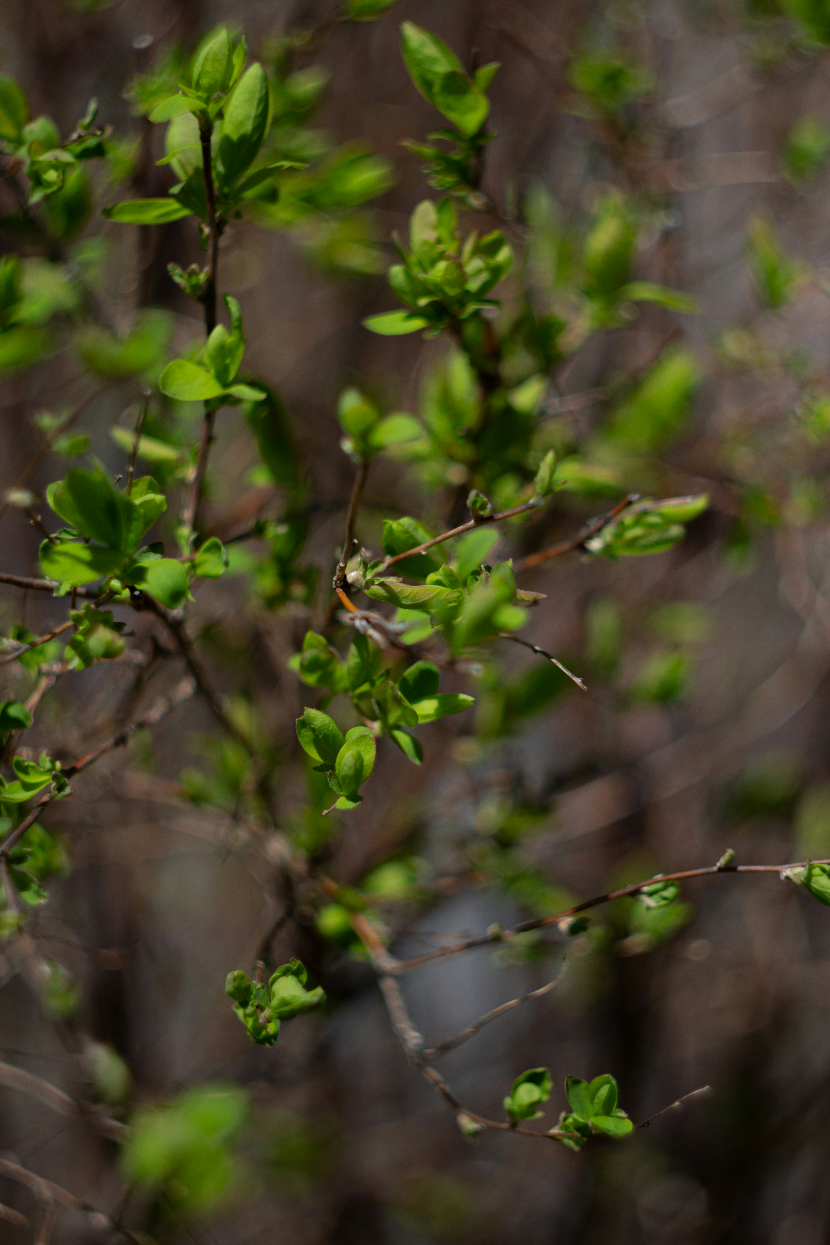 Photo by ekaterinanovak