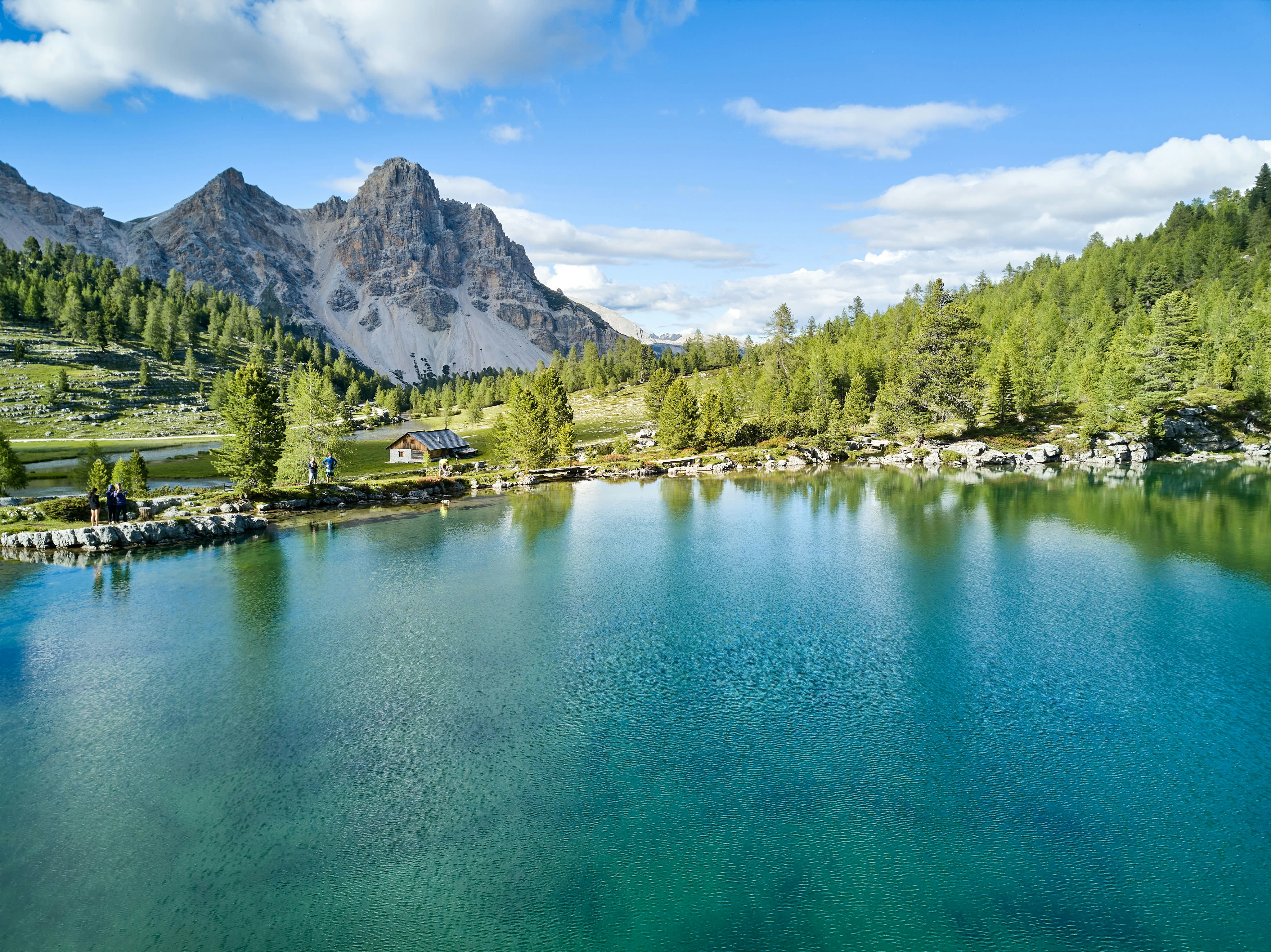 Un lago con alberi e montagne sullo sfondo