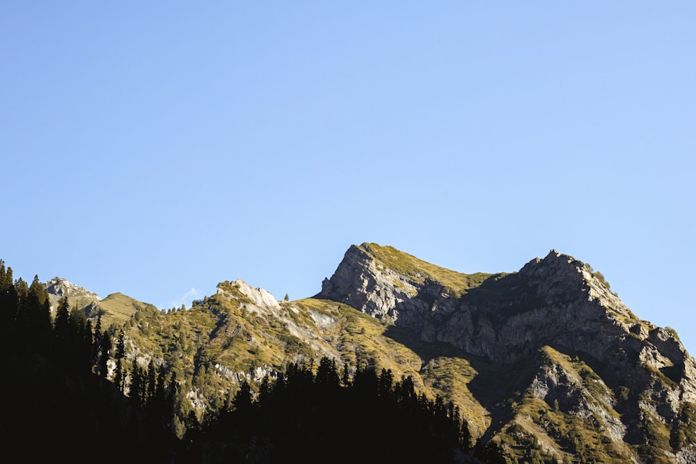 a mountain with trees on it