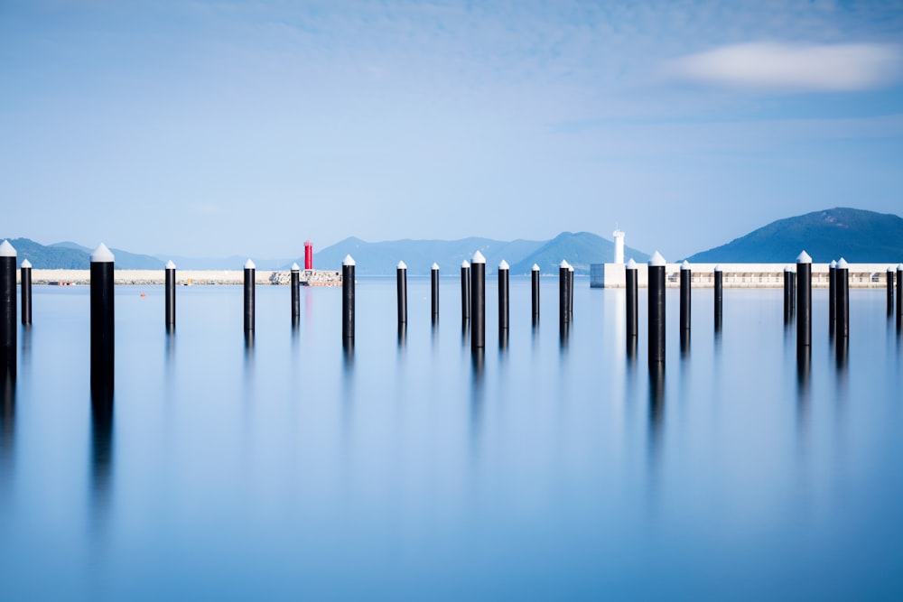 a group of wooden poles in a body of water