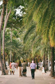 Families walking along a paved street in the Unión island, with young trees and street lamps.