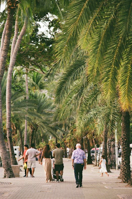 Families walking along a paved street in the Unión island, with young trees and street lamps.