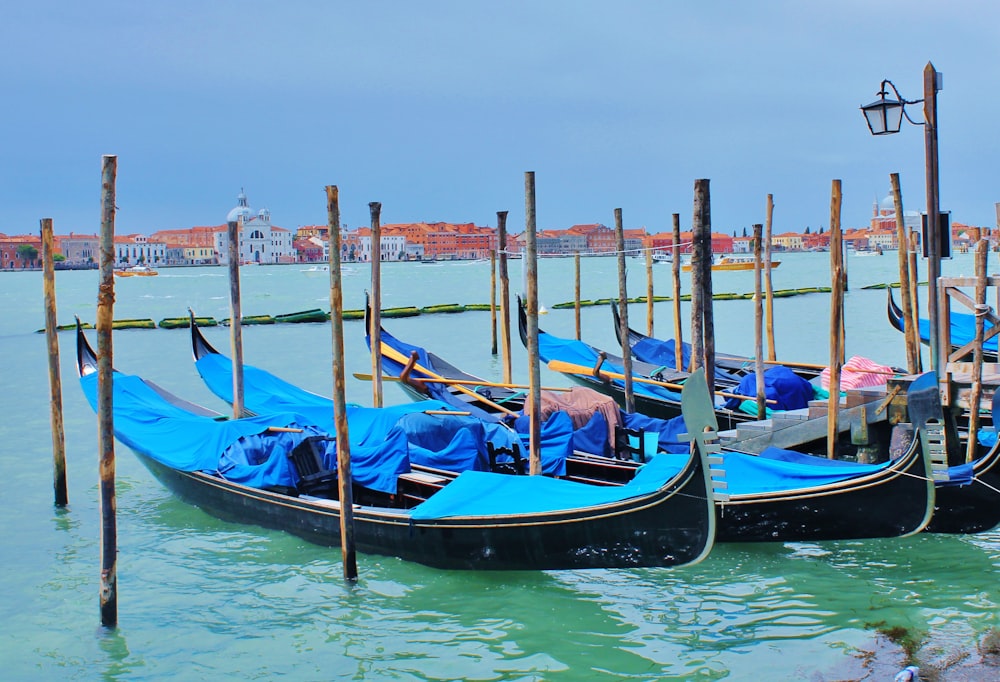 boats in the water