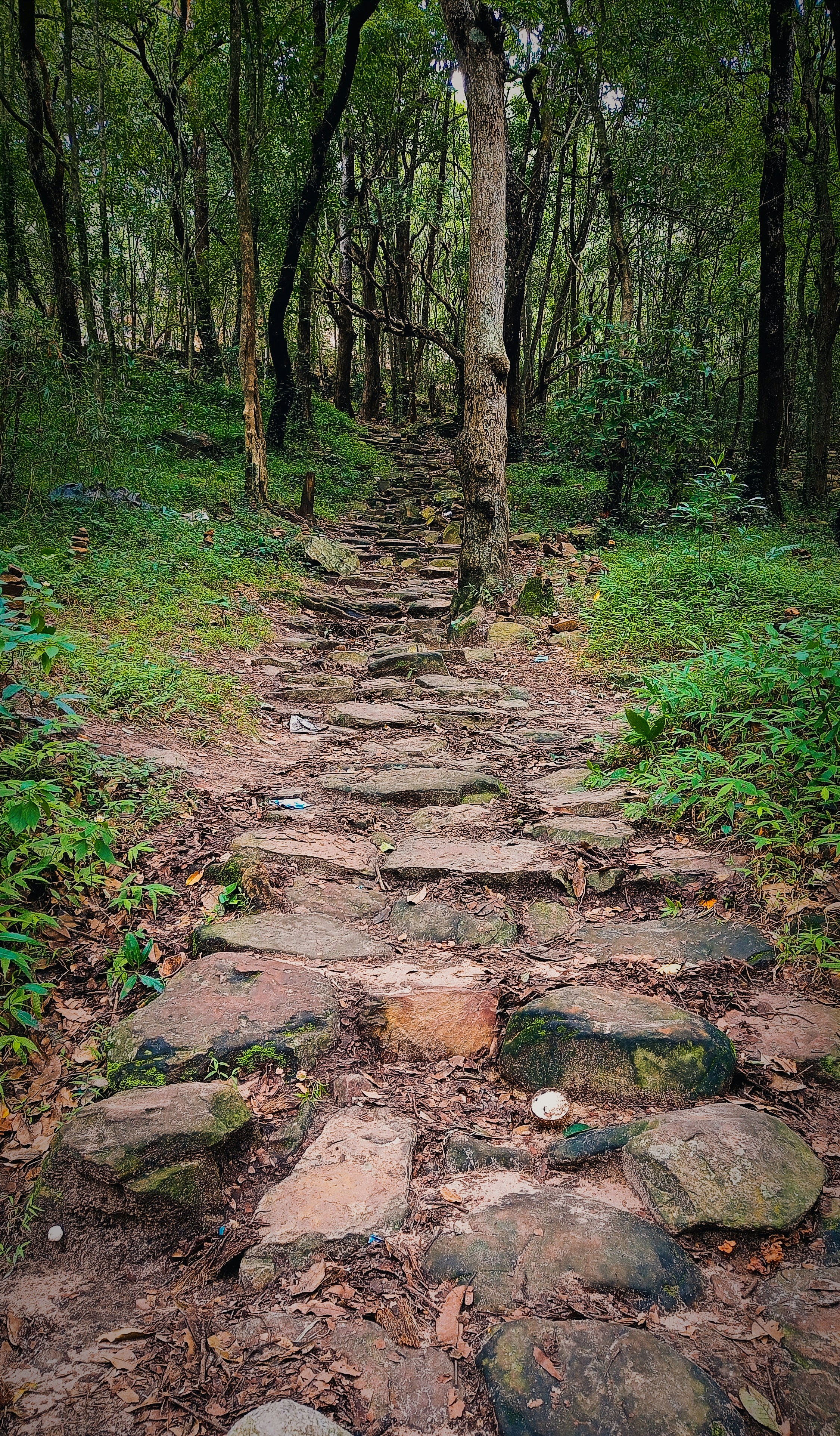 Photo by prathibha27